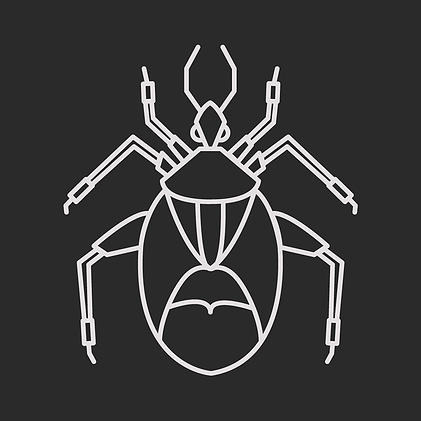 Exterminateur punaise