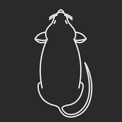 exterminateur souris rats